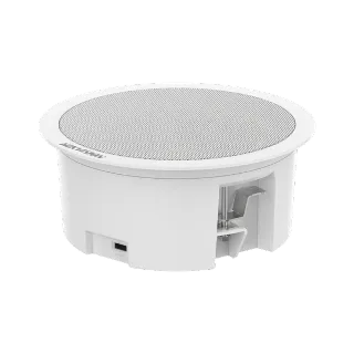 Hikvision DS-QAZ0206G1-S 6W Network Asma Tavan İkincil Hoparlörü