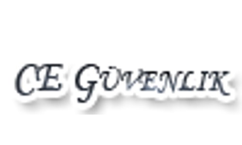 CE ELEKTRONİK GÜVENLİK logosu