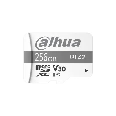 Dahua TF-P100/256G